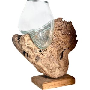 Tronco Marino con Florero de Cristal