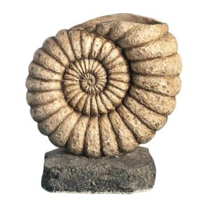 Caracol Decorativo de Piedra