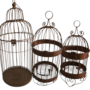 Jaula Decorativa Rose Gold