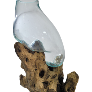 Tronco Marino con Florero de Cristal