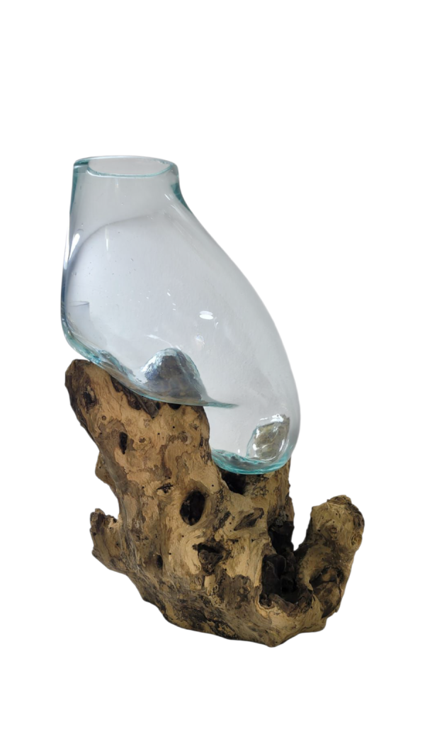 Tronco Marino con Florero de Cristal